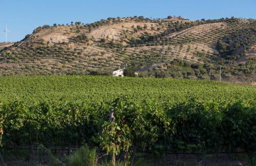 Agriturismo Dattilo - Foto 77