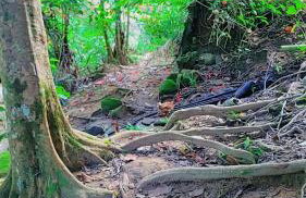 Parati Pousada kadoshi - Foto 40