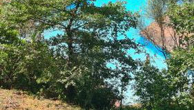 Entre mer et montagne - Foto 3