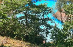 Entre mer et montagne - Foto 3