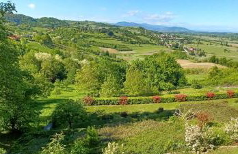 Apartman BIBA - Foto 28