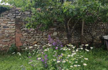 Belle maison lumineuse en pierre Catalogne - Argelès sur Mer - Collioure - Photo 32