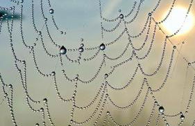 Apartamentos Iparagirre - Foto 17