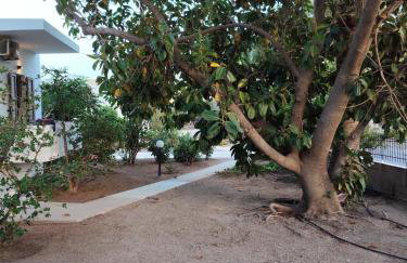 Protopapas - Foto 15