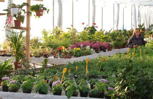 Agriturismo L'Acero Rosso - Foto 69