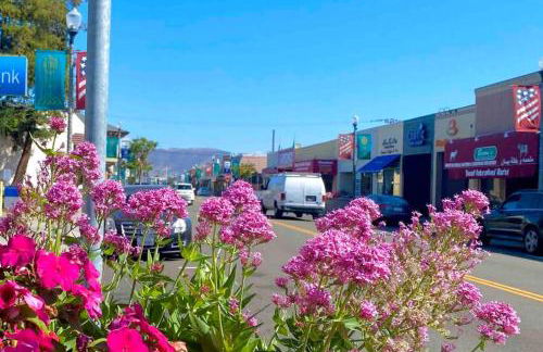 Lovely 3 bedroom house for 6 people Near SFO SF Bay Area Newly updated - Foto 19