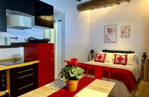 Natural RED Passion in Perugia Downtown - Photo 33