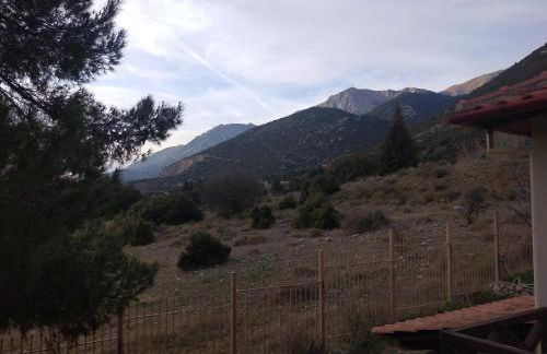 View suites - Foto 13