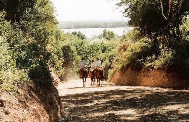 Pura Sangre Chacra - Foto 20