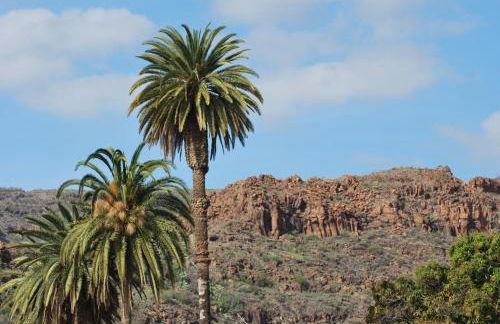 LOS FRAILES I - Foto 52