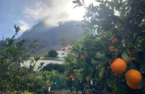 Casa Camino Tamadaba II (bottom home) - Foto 32