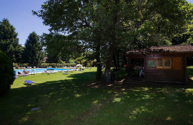 Rododendro Rosso - Foto 25