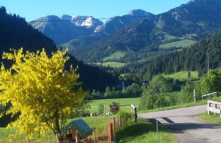 Ferienhof Ammann - Foto 5