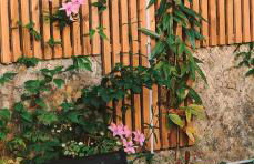 Maison 3 chambres - Jardin de l'Évêché - Photo 2