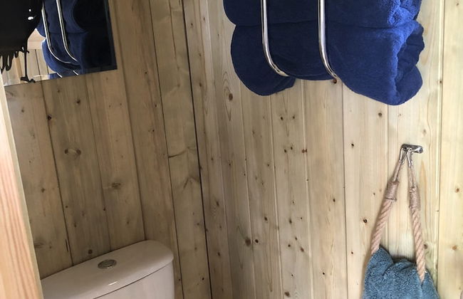 The Peacock Shepherds Hut at Hafoty Boeth - Foto 7