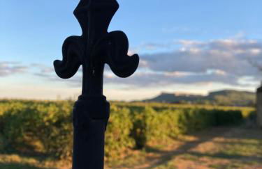 A l Aube du Midi - Foto 48