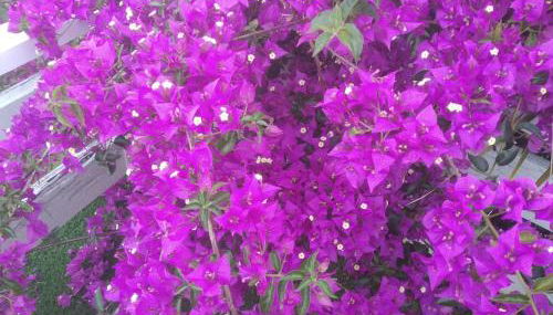 Apartamento con terraza y vistas al mar - Foto 3, Garden