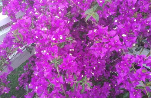 Apartamento con terraza y vistas al mar - Foto 3