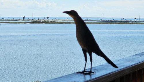 Summer's Little Bay Getaway - Foto 2