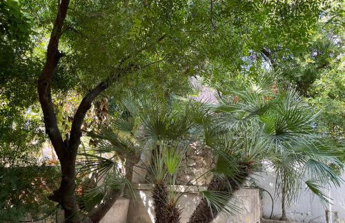 Villa GAN EDEN - Foto 53