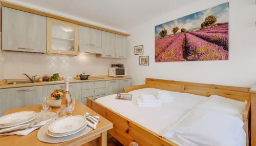 Hermitage Studio - close to ski pistes - Happy Rentals - Foto 5