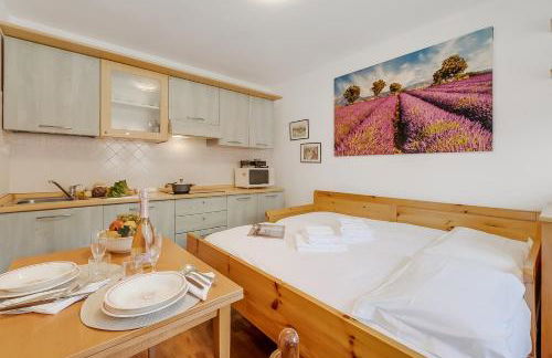 Hermitage Studio - close to ski pistes - Happy Rentals - Photo 7