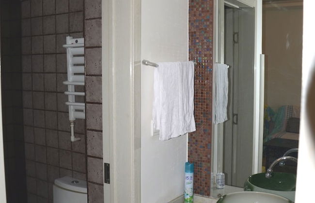 Lan Zhou Long Shang Purple Tulip - Foto 10