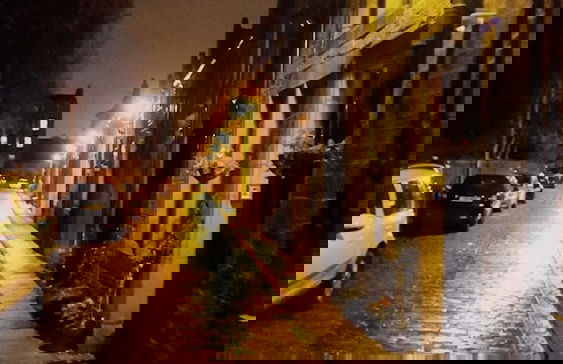 Quiet Ground Floor Mews Flat and Parking - Foto 29