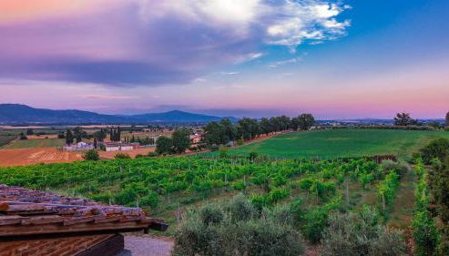 Ar-f628-mssa0at - Villa Pucci 12 - Foto 5