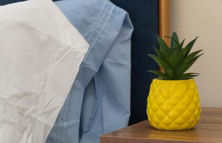 Villa Tropical - Your private Miami Resort with a heated pool - Foto 15