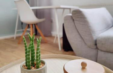 Flair-Apartments 'Apartment nähe Schlosspark', 300 m Bahnhof, Innenstadt Bad Salzuflen Stadtteil Schötmar, für Urlaub oder Geschäftsreise, separater Eingang, 24 Std Check-in,WLAN, Streaming-Fernseher, Küche, Regendusche, Doppelbett, 2 Schlafsofa - Foto 8