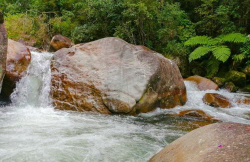 Chalé 1 Alto na Montanha, com lareira e wi-fi - Foto 57