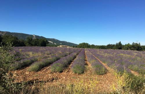 Le Clos d'Estellan - Piscine chauffée - Foto 6