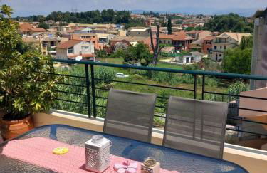 Fox's Sunshine - Foto 3