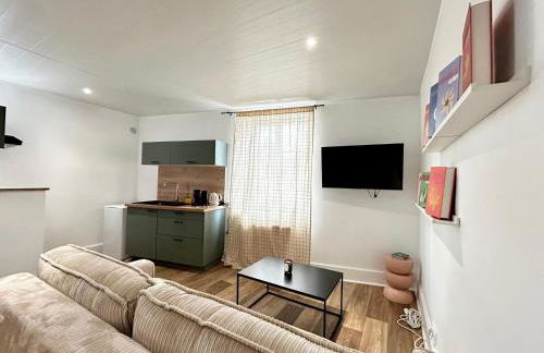 Le Toulousain, proche Legrand et autoroute - Photo 1