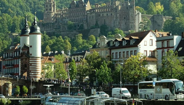 Tagesausflug nach Heidelberg - Private Ganztagestour - Foto 2