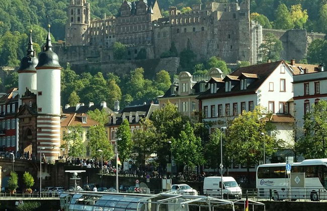 Tagesausflug nach Heidelberg - Private Ganztagestour - Foto 2