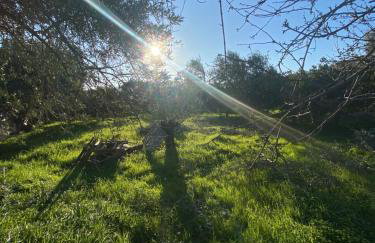 Spacious n comfortable Aloe Vera farm house - Photo 22