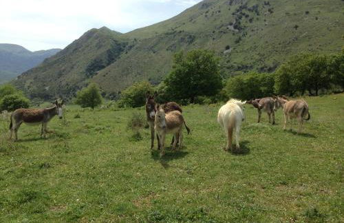 Feudo Galefona - Foto 50