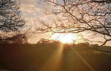 The Piggery - Foto 12