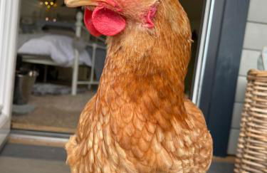 South Barlogan Farm - Photo 29