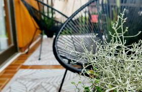 Ferienwohnungen Krüger ''Apartment Finn" - Foto 13