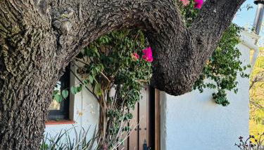 Finca Los Arcos - Foto 5