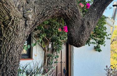 Finca Los Arcos - Foto 5