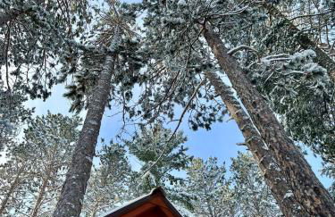 Cabin Retreat with Sauna Trails and Lake Access - Foto 13