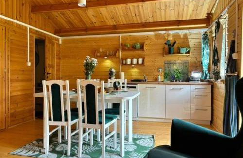 Butelkowa Zieleń - Foto 9