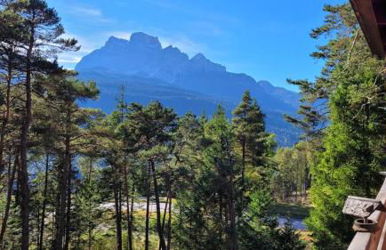 Chalet di design vista Pelmo - Chalet dei Brisi - Foto 32