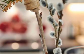 Holiday Home Komfortables Ferienhaus in purer Natur by Interhome - Photo 22