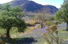 West Cumbria static caravan - Foto 44