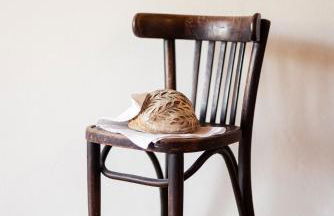 Die Villa bei Meran - Foto 20